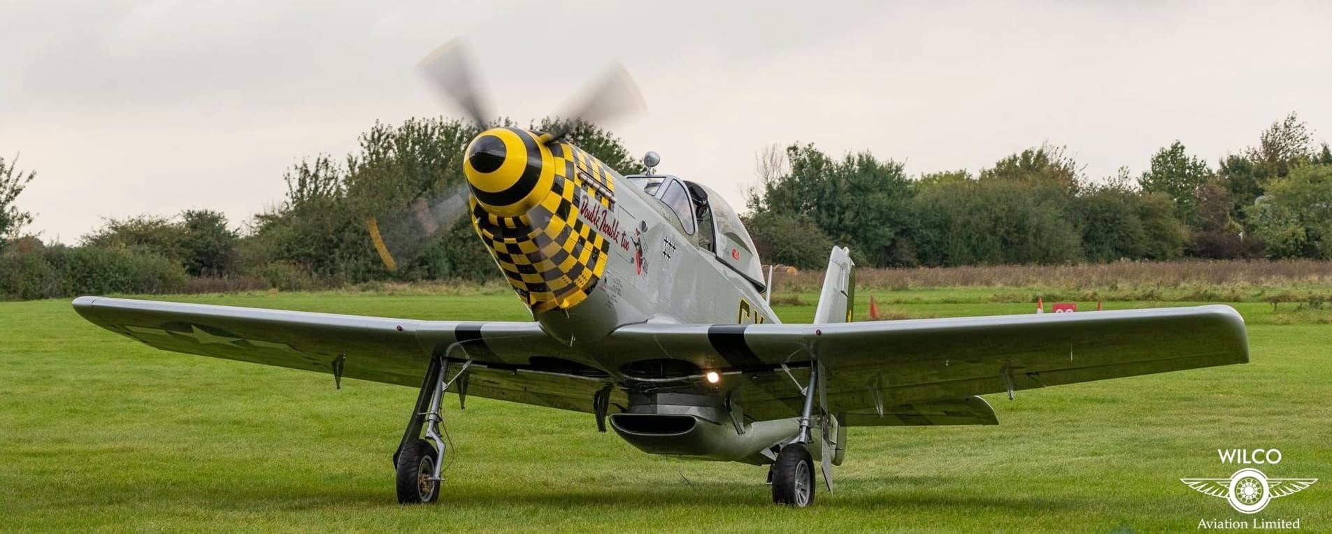 Titan T-51D Mustang
